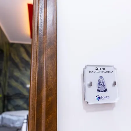 Luxury Guest house